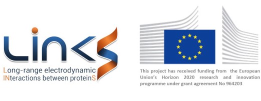 LINkS EU Project